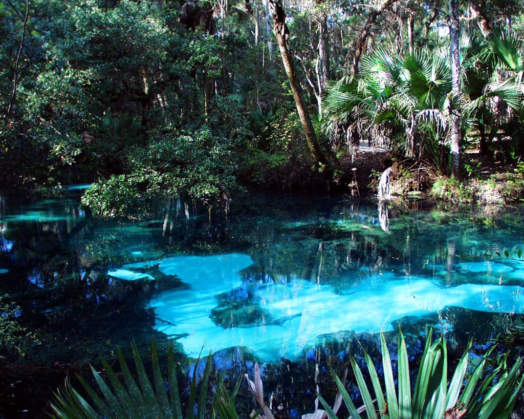 Freshwater Spring, Juniper Springs State Recreational Area, Marion County