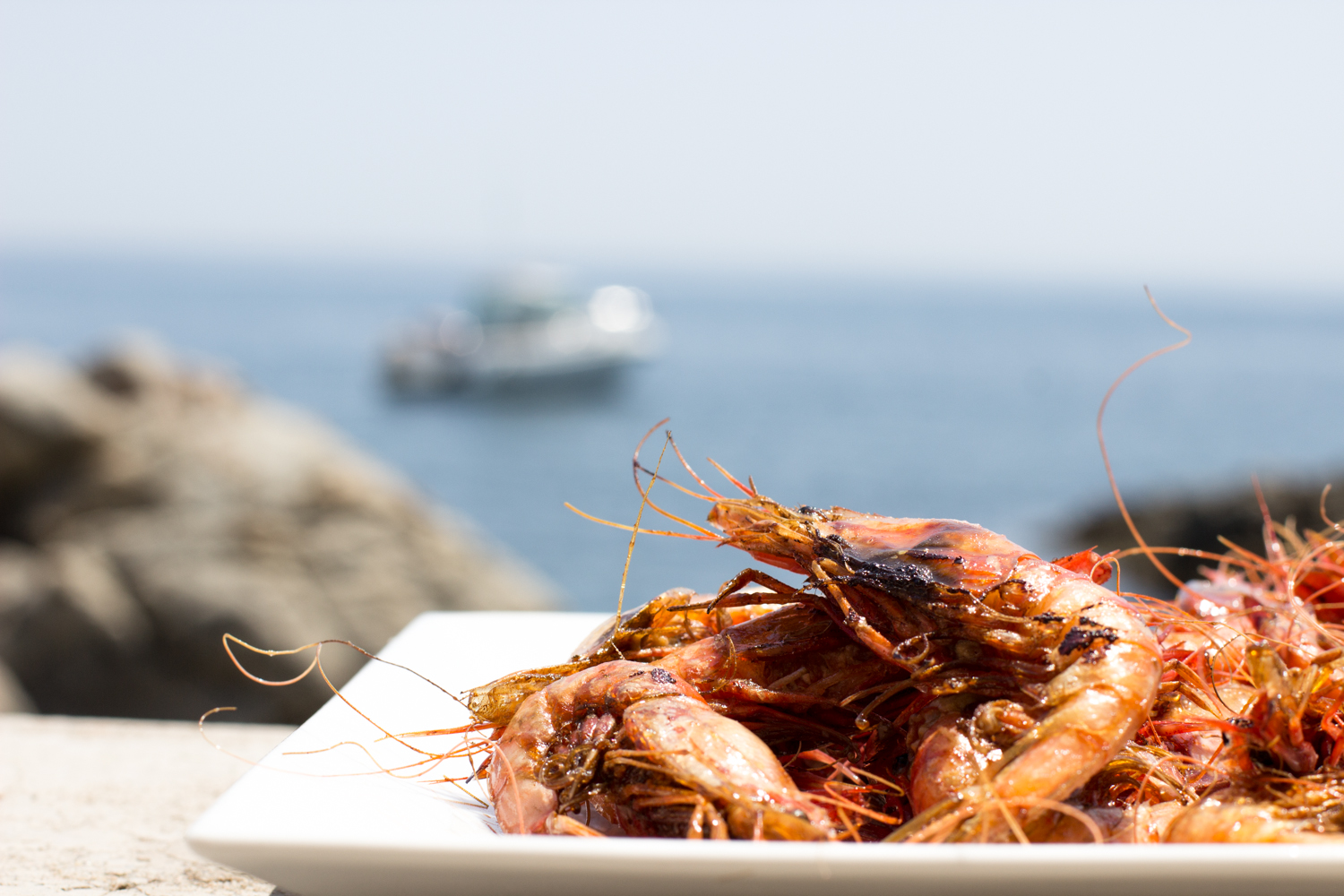 costa brava prawns