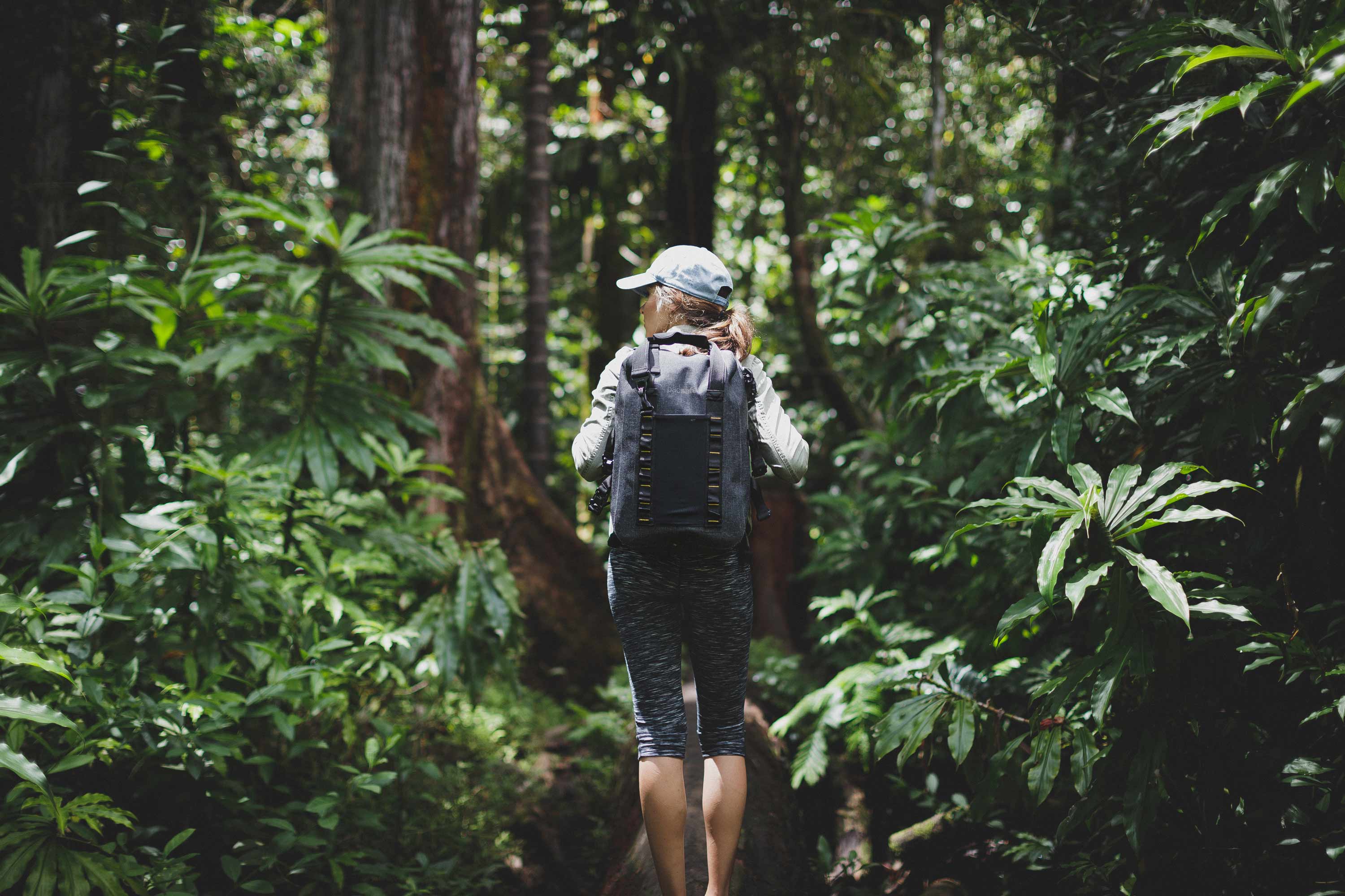 Environmental Considerations When Making a Backpack