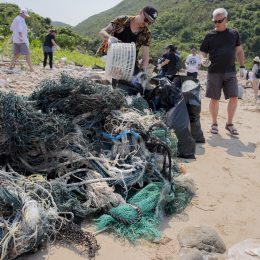 Why Beach Cleanups Are Worth Doing