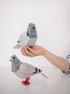 paper pigeons
